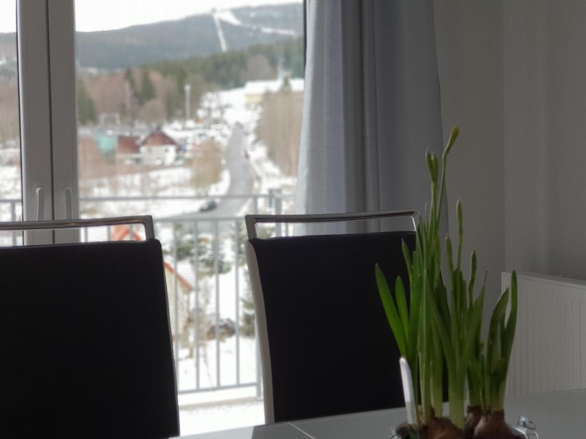 Vera Apartment Swieradow-Zdroj Zakopianska 22 C M10 ภายนอก รูปภาพ